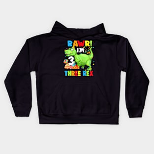 Kids Three Rex Birthday Party Outfit Dinosaur 3 Year Old Boy Kids Hoodie